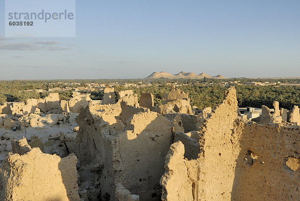 Alte Stadt von Siwa  Oase Siwa  Ägypten  Nordafrika  Afrika