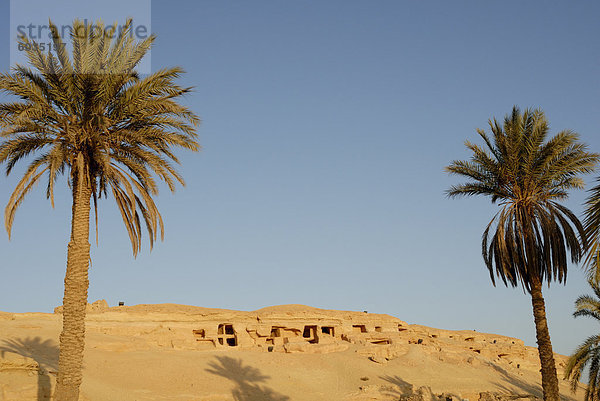 Dschebel el behaupten (Berg der Toten)  Oase Siwa  Ägypten  Nordafrika  Afrika