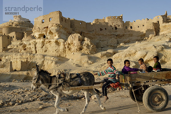 Alte Stadt Schali  Oase Siwa  Ägypten  Nordafrika  Afrika