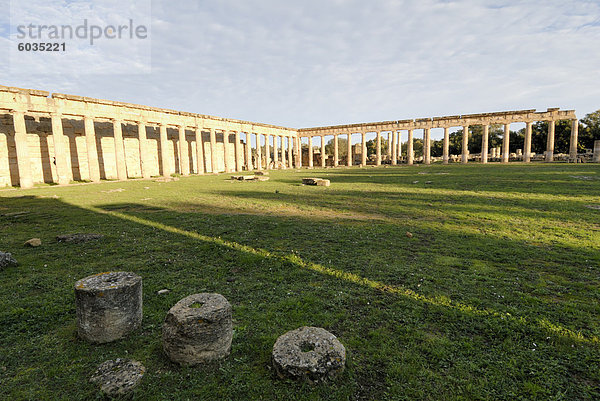 Gymnasium und Forum  UNESCO Weltkulturerbe  Cyrene  Libyen  Nordafrika  Afrika