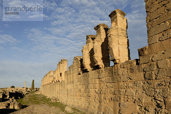 Skyrota  Kyrene  UNESCO World Heritage Site  Libyen  Nordafrika  Afrika