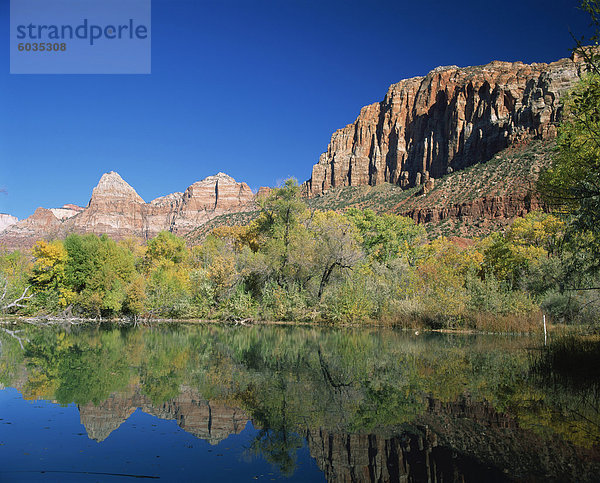 Reflexionen der Bäume im Herbst Farben und Klippen von Zion  in einem See  in der Nähe der Zion Nationalpark  Springdale  Utah  Vereinigte Staaten von Amerika  Nordamerika