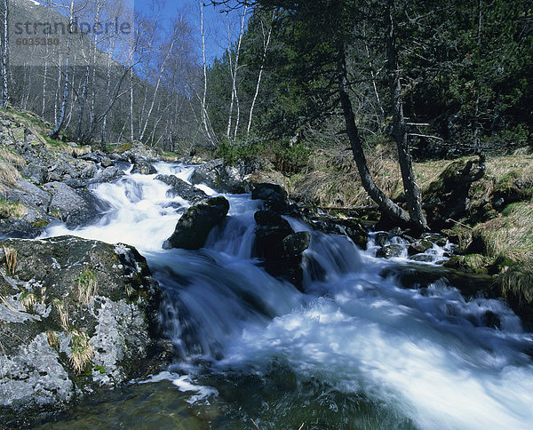 Ein Gebirgsbach in La Massana in Andorra  Europa