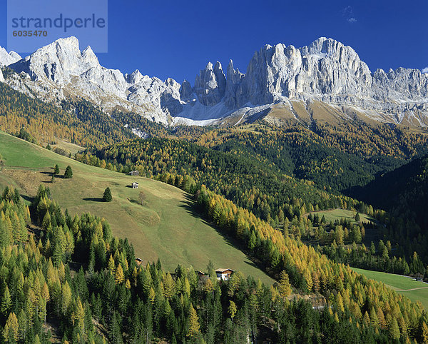 Rosengartengruppe in den Dolomiten  Trentino-Alto Adige  Italien  Europa