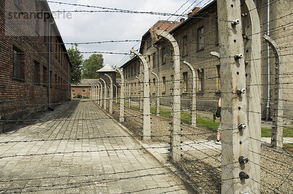 Elektrozaun  Auschwitz-Konzentrationslager  jetzt ein Denkmal und Museum  UNESCO Weltkulturerbe  Oswiecim nahe Krakow (Krakau)  Polen  Europa