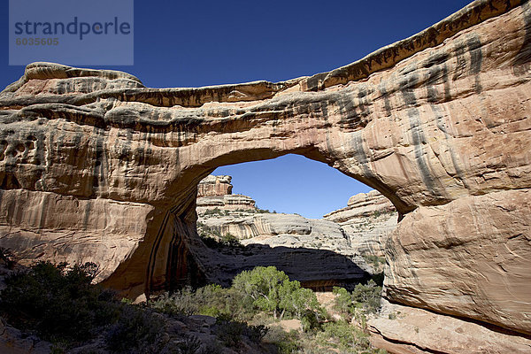 Sipapu Brücke  Natural Bridges National Monument  Utah  Vereinigte Staaten  Nordamerika