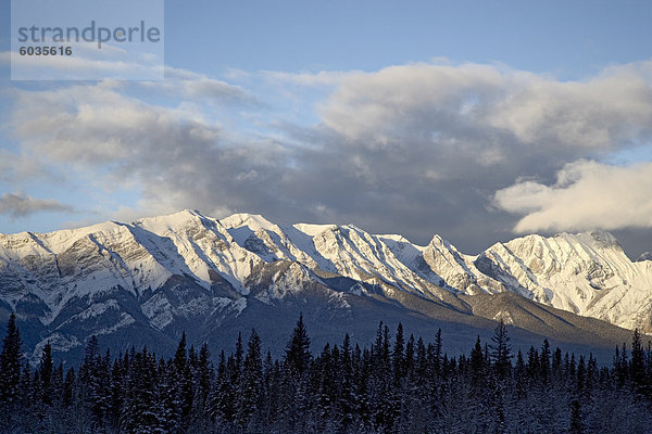 Bosche Range im Winter  Jasper Nationalpark  UNESCO Weltkulturerbe  Rocky Mountains  Alberta  Kanada  Nordamerika