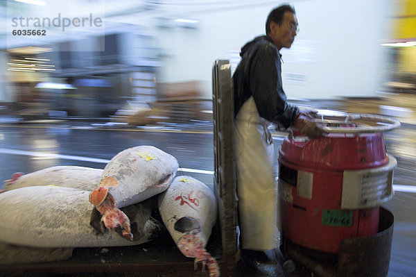 Arbeiter treibenden motor Wagen geladen mit gefrorenen Fischen für Thunfisch-Auktion  Tsukiji Fisch Markt  Tokio  Honshu  Japan  Asien