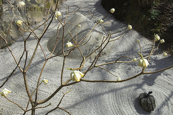 Hautnah mit Sand Motive der japanischen Garten  Ohara  Kyoto  Kansai  Honshu  Japan  Asien