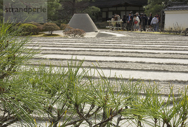 Kiefer im Vordergrund  Zen Garten versinnbildlicht Fujisan und das Meer  silberner Pavillon  Ginkaku-Ji-Tempel  Kyoto  Kansai  Honshu  Japan  Asien