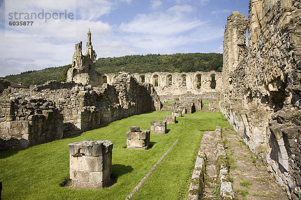 Ruinen von der 12. Jahrhundert Byland Zisterzienserabtei  zerstört durch die schottische Armee in Schlacht von Byland 1322  als Edward ll geschlagen war  Coxwold  North York Moors National Park  Yorkshire  England  Vereinigtes Königreich  Europa