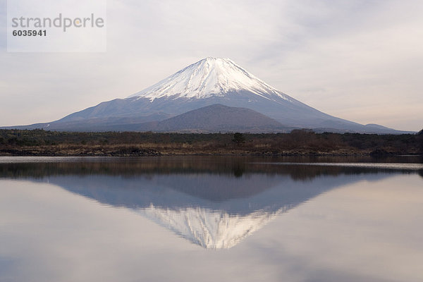 Mount Fuji  3776m  betrachtet über Shoji-Ko  einer der Seen in der Fuji Go-Ko (fünf Fuji-Seen) Region  Honshu  Japan  Asien