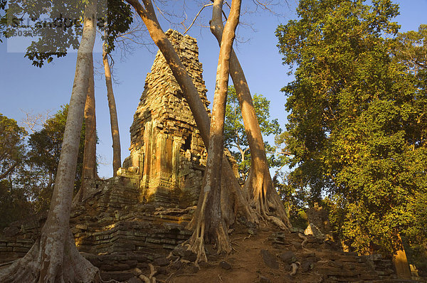 Preah Palilay Heiligtum  Angkor Thom  Angkor  UNESCO Weltkulturerbe  Siem Reap  Kambodscha  Indochina  Südostasien  Asien