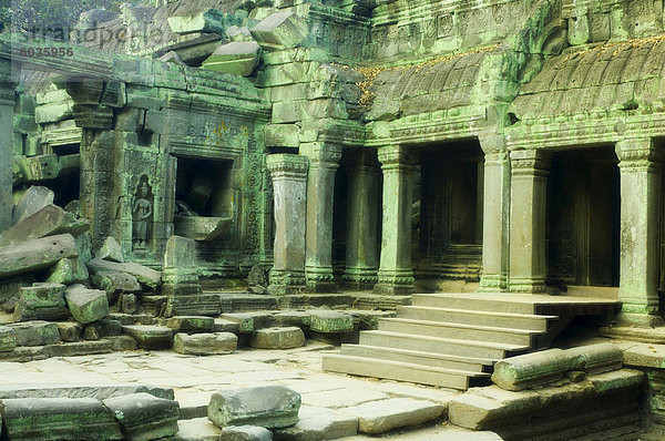 Ta Prohm Tempel  Angkor  UNESCO Weltkulturerbe  Siem Reap  Kambodscha  Indochina  Südostasien  Asien