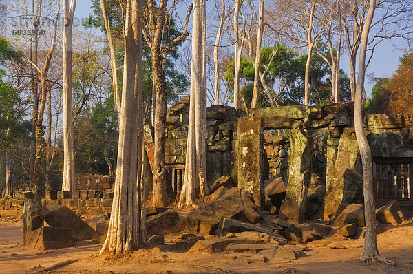 Prasat Thom Tempel  Koh Ker  Kambodscha  Indochina  Südostasien  Asien