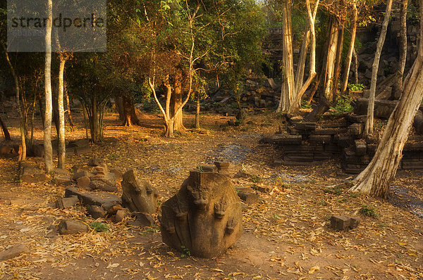 Naga Schlange am Tempel Beng Mealea  Siem Reap  Kambodscha  Indochina  Südostasien  Asien