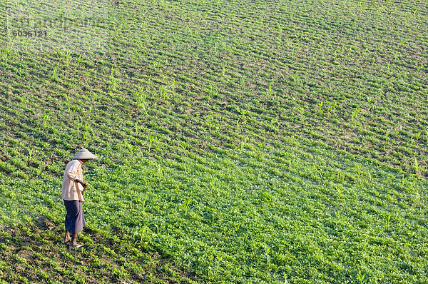 Farmer  Amarapura  Myanmar (Birma)  Asien