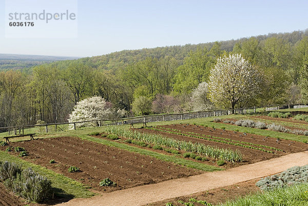 Thomas Jeffersons Monticello  Virginia  Vereinigte Staaten von Amerika  Nordamerika