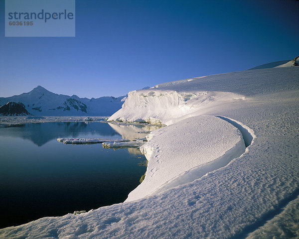 Eis-Front  Adelaide-Insel  Antarktis  Polarregionen