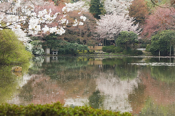 Garten des Ryoanji-Tempels  Kyoto  der Insel Honshu  Japan  Asien