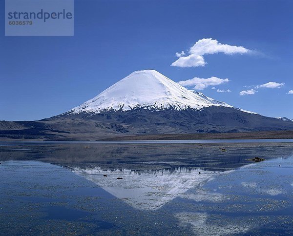 Vulkan Parinacota und Lake Chungara in der Lauca Nationalpark  Chile  Südamerika