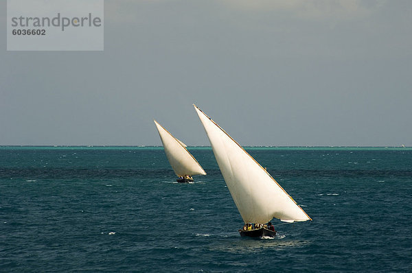 Hafen von Fracht Dhaus Segeln in Richtung Stone Town  Sansibar  Tansania  Ostafrika  Afrika