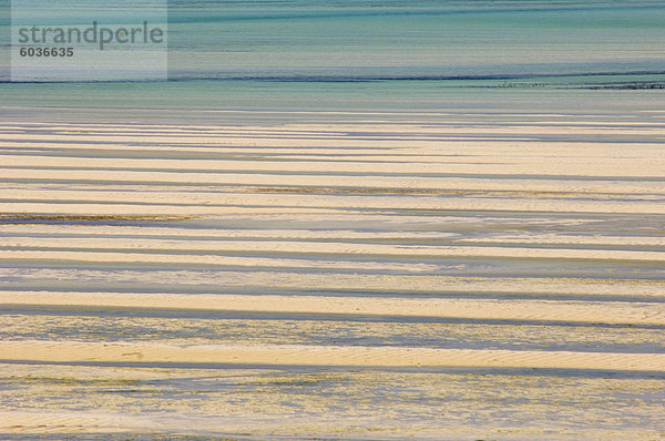 Das Meer bei Ebbe  Paje  Zanzibar  Tansania  Ostafrika  Afrika