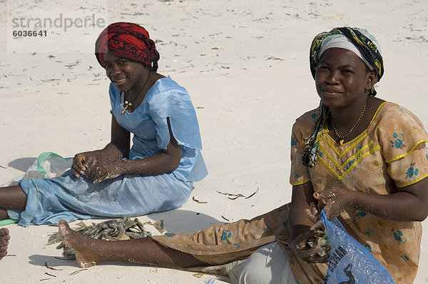 Einheimische Frauen in bunten Kleid sortieren Muscheln am Strand  Afrika  Ostafrika  Paje  Zanzibar  Tansania