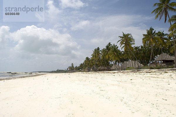 Der Strand von Jambiani mit Hotels direkt am Strand gebaut im strohgedeckten afrikanischen Stil  Sansibar  Tansania  Ostafrika  Afrika