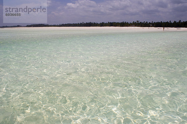 Das flache Meer bei Ebbe in der Nähe von Paje Beach  Sansibar  Tansania  Ostafrika  Afrika