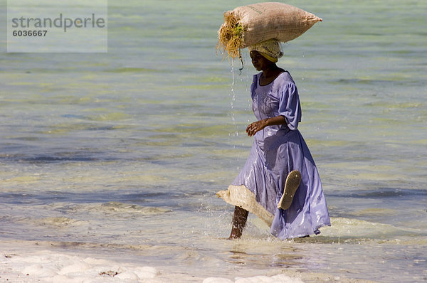 Eine Frau im bunten Kleid eine Tragetasche geernteten Algen auf dem Kopf  Paje  Zanzibar  Tansania  Ostafrika  Afrika