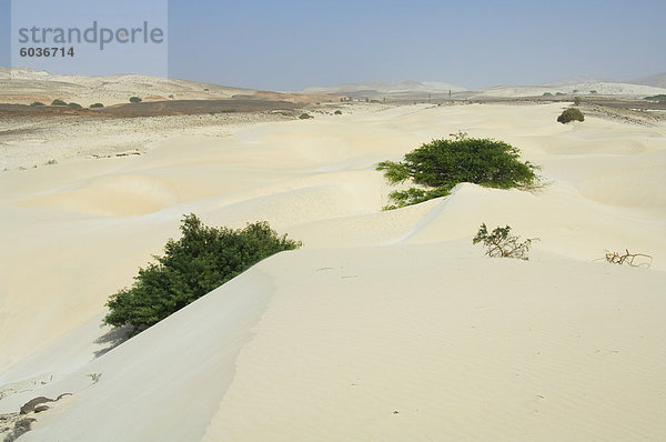 Wüste und Sanddünen in der Mitte der Insel Boa Vista  Kapverdische Inseln  Afrika