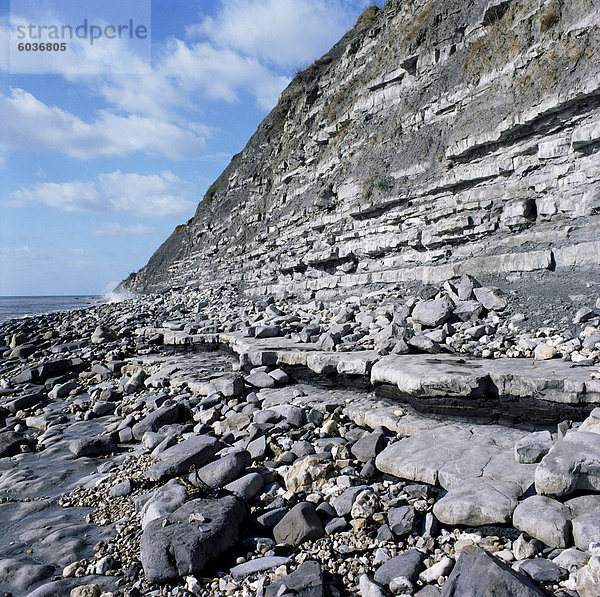 Fossil Lager Lias Betten  sieben Rock Point  Jurassic Coast  UNESCO Weltkulturerbe  Lyme Regis  Dorset  England  Vereinigtes Königreich  Europa