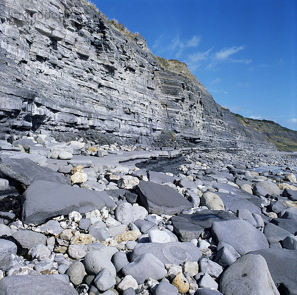 Fossil Lager Lias Betten  sieben Rock Point  Jurassic Coast  UNESCO Weltkulturerbe  Lyme Regis  Dorset  England  Vereinigtes Königreich  Europa