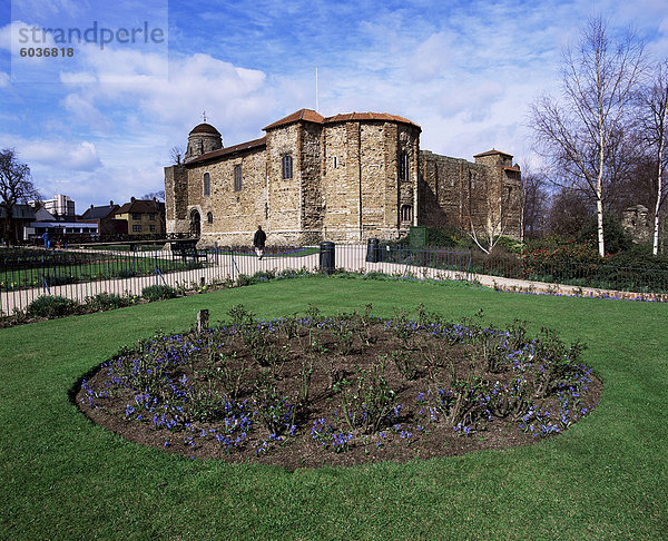 Obere Schlosspark und Colchester Castle  halten die älteste Norman in den u.k  Colchester  Essex  England  Vereinigtes Königreich  Europa