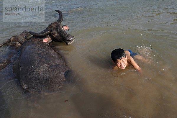 Ein Junge badet mit seiner Wasserbüffel in der Mekong-Fluss  in der Nähe von Kratie  östliche Kambodscha  Indochina  Südostasien  Asien