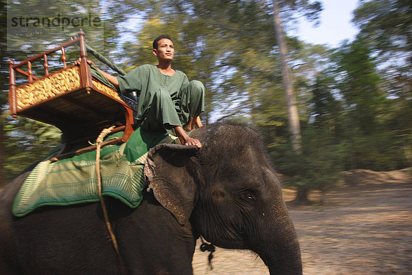 Bietet Elefanten reitet um die Tempel von Angkor  Kambodscha  Indochina  Südostasien  Asien