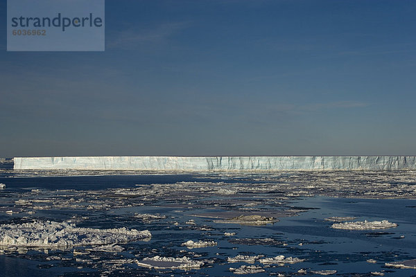 Eisberg und Packeis  Weddell-Meer  Antarktische Halbinsel  Antarktis  Polarregionen