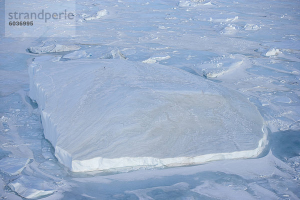 Eisberg und Packeis gesehen am Heli Flug von russischen Eisbrecher Kapitan Chlebnikow  Weddell Sea  Antarctica  Polarregionen