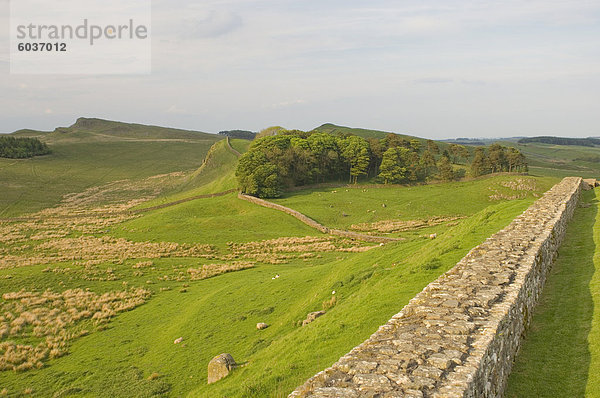 Roman Wand nach Osten lag fort zu nähen Shields Crags  Hadrianswall  UNESCO Weltkulturerbe  Northumberland  England  Vereinigtes Königreich  Europa