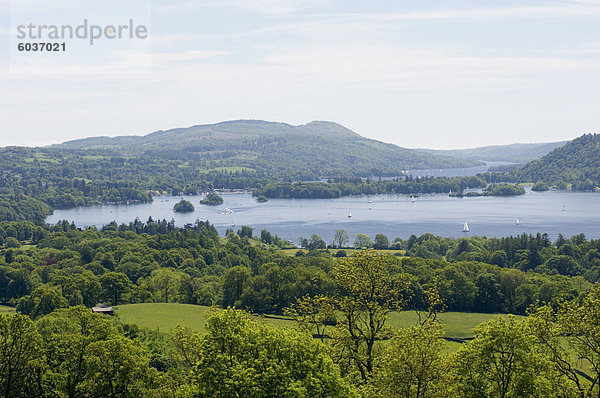 Lake Windermere  Lake District-Nationalpark  Cumbria  England  Vereinigtes Königreich  Europa