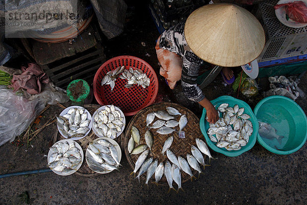 Frischer Fisch im City-Markt  Da Nang  Vietnam  Indochina  Südostasien  Asien