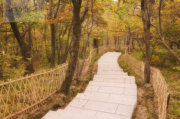 Wanderweg  Mount Huangshan (Yellow Mountain)  UNESCO World Heritage Site  Provinz Anhui  China  Asien