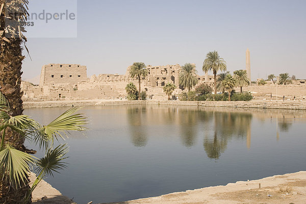 Heiliger See  Tempel von Karnak  Karnak  in der Nähe von Luxor  Theben  UNESCO World Heritage Site  Ägypten  Nordafrika  Afrika