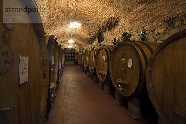 Weinfässer in den Weinkellern von der Villa Vignamaggio  ein Weinproduzent  deren Weine waren die ersten  Chianti  in der Nähe von Greve  Chianti  Toskana  Italien  Europa aufgerufen werden