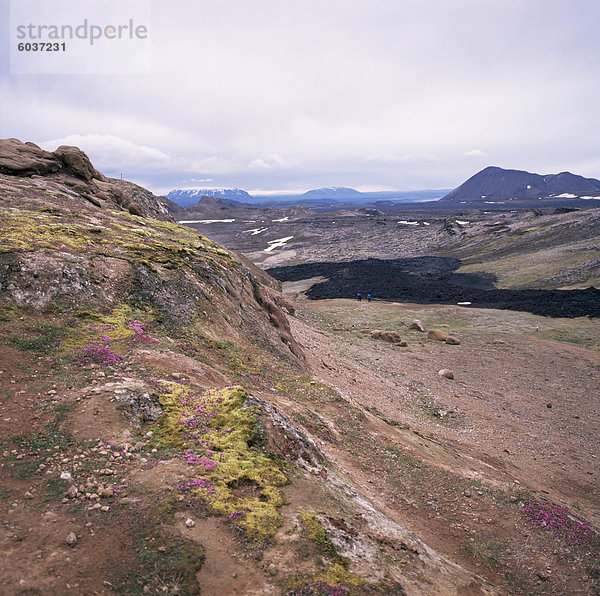 Schwarzen Lavastrom in Mitteldistanz  Krafla vulkanischen Gebiet  tätig zwischen 1975 und 1984  Myvatn  Island  Polarregionen