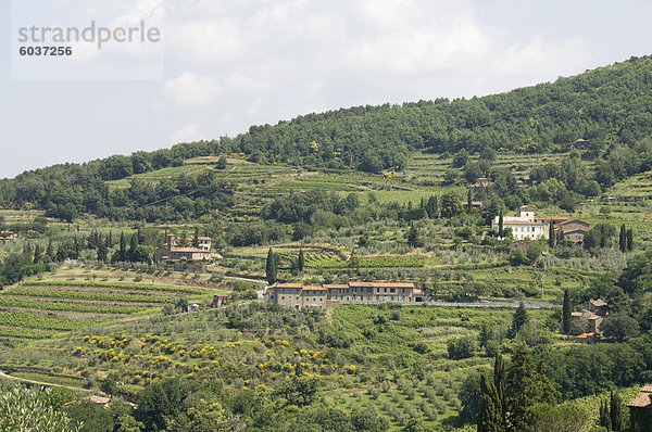 Typischen toskanischen anzeigen rund um den Bereich von Lamole  in der Nähe von Greve  Chianti  Toskana  Italien  Europa