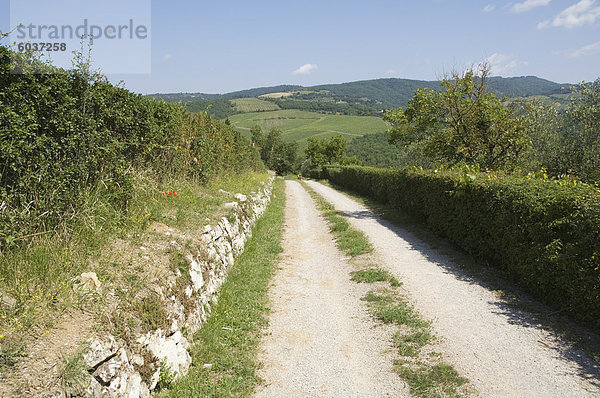 Typischen toskanischen anzeigen rund um den Bereich von Lamole  in der Nähe von Greve  Chianti  Toskana  Italien  Europa