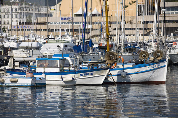 Fischerboote  Vieux Port  Cannes  Alpes Maritimes  Provence  Cote d ' Azur  Côte d ' Azur  Frankreich  Mediterranean  Europa