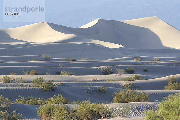 Vereinigte Staaten von Amerika USA Nordamerika Death Valley Nationalpark Kalifornien